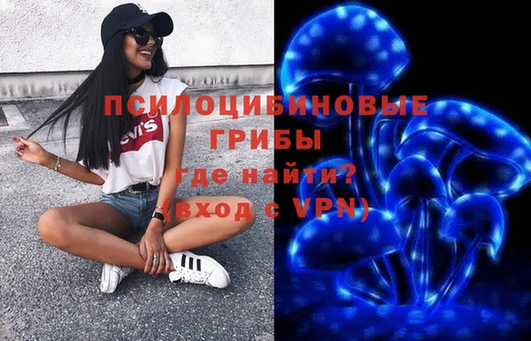МДПВ Алзамай